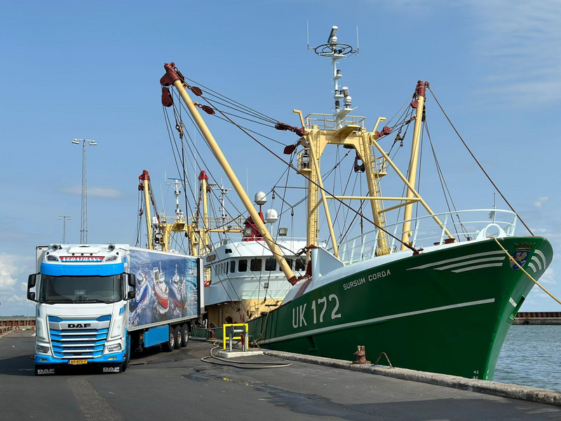 Vebatrans Vistransport