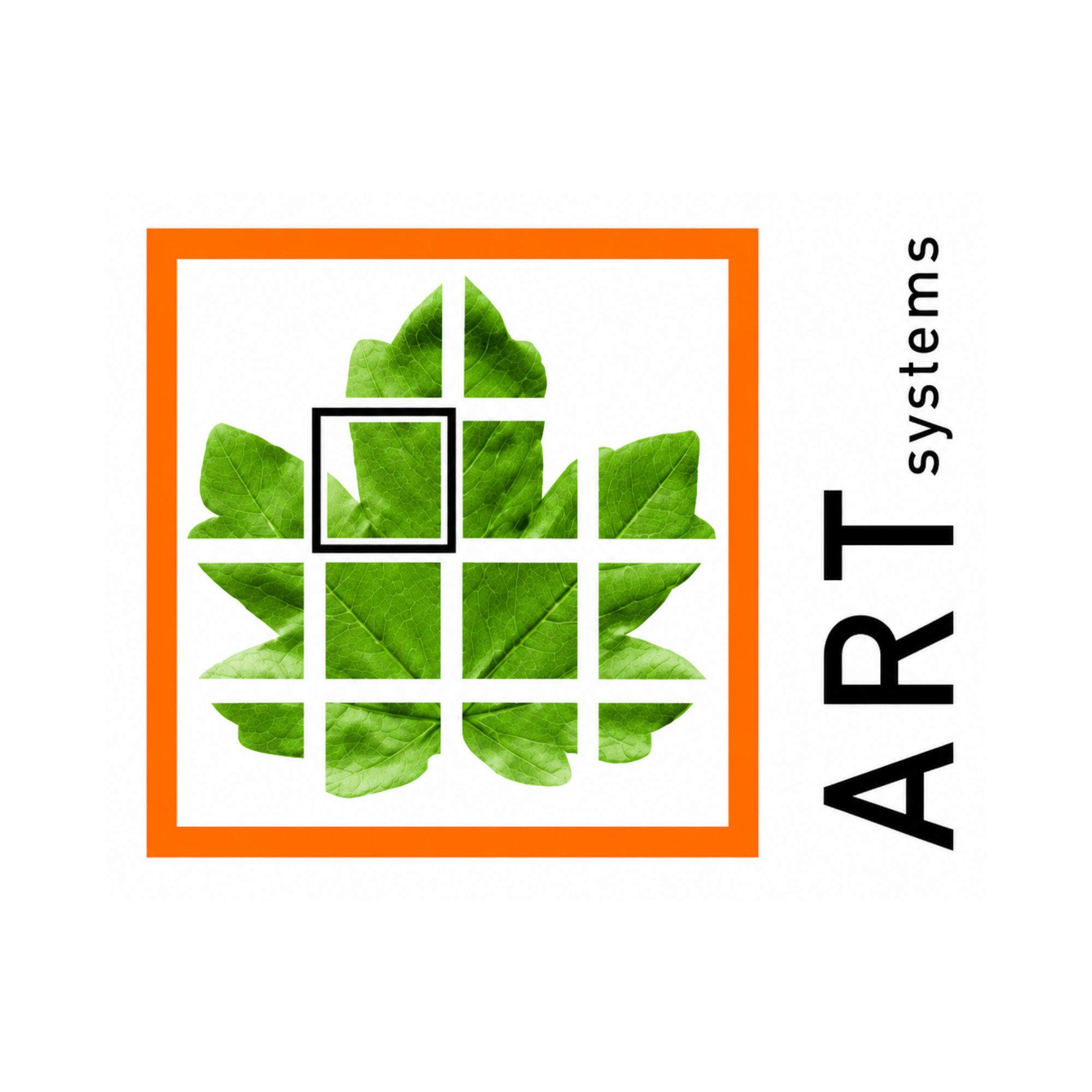 Art Systems